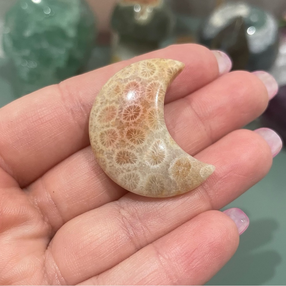 Fossilized Coral Jade Moon